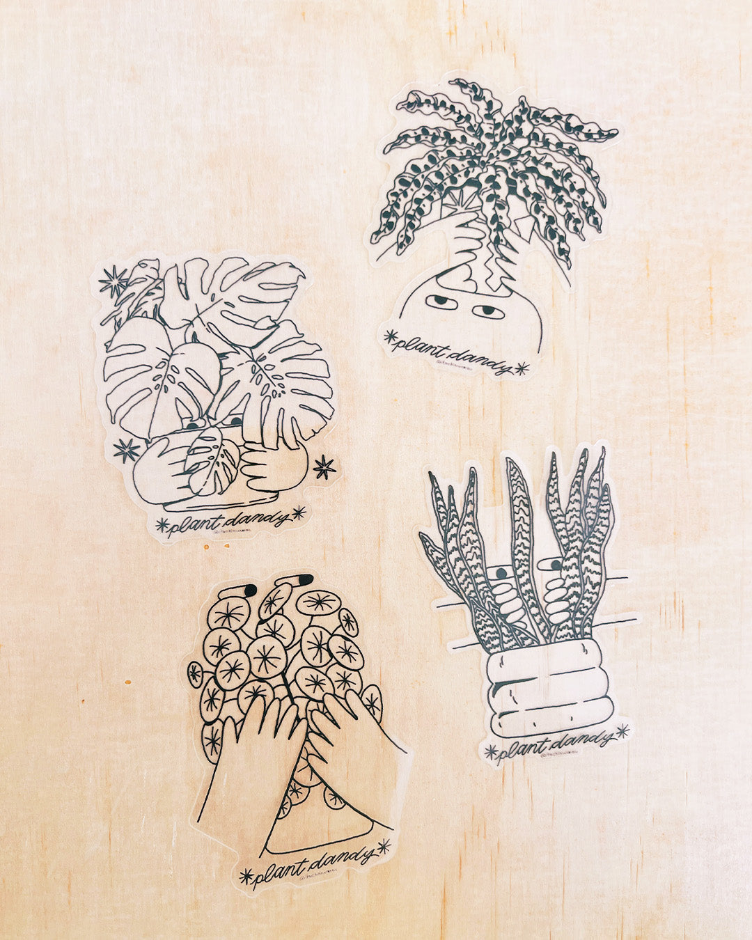 Monstera Plant Dandy Clear Sticker