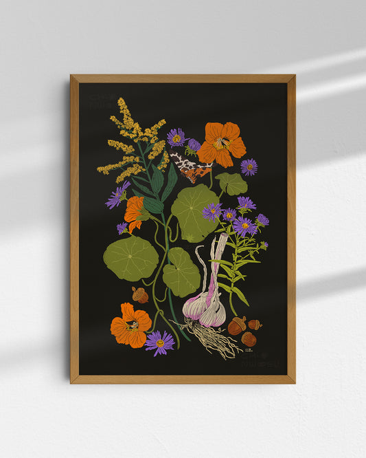 Seeding New Worlds Print