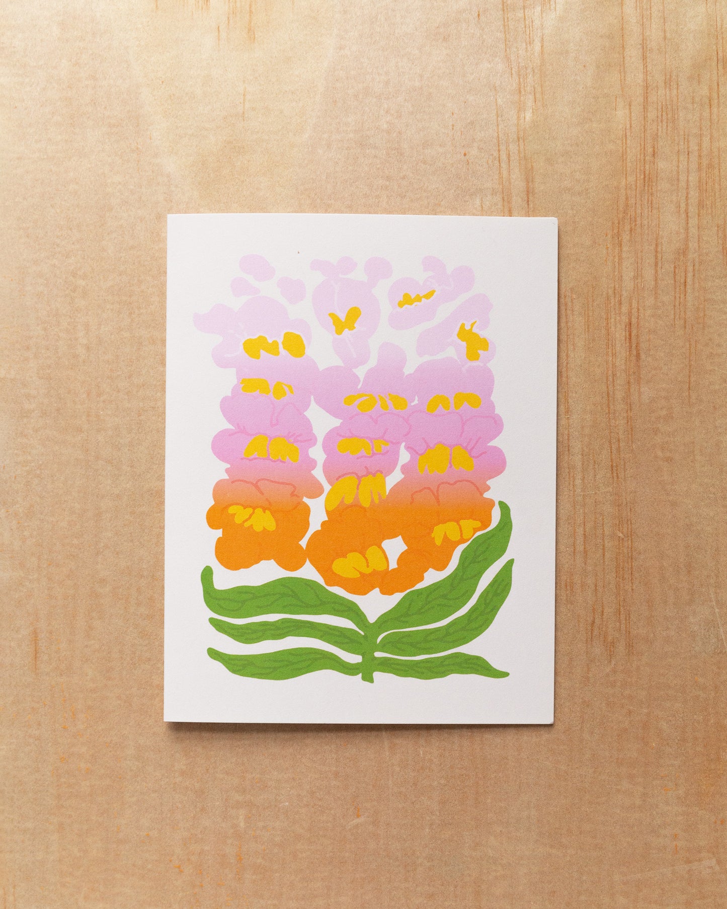 Snapdragons Card