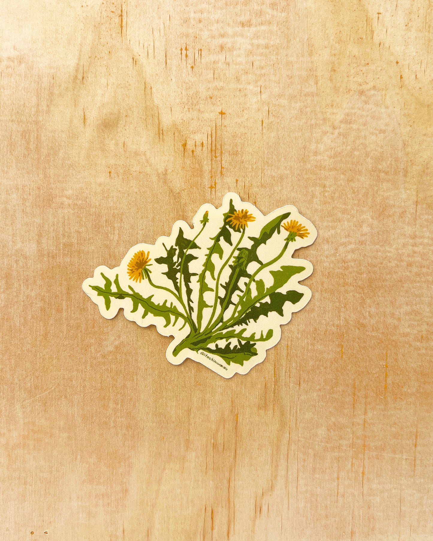 Dandelion Sticker