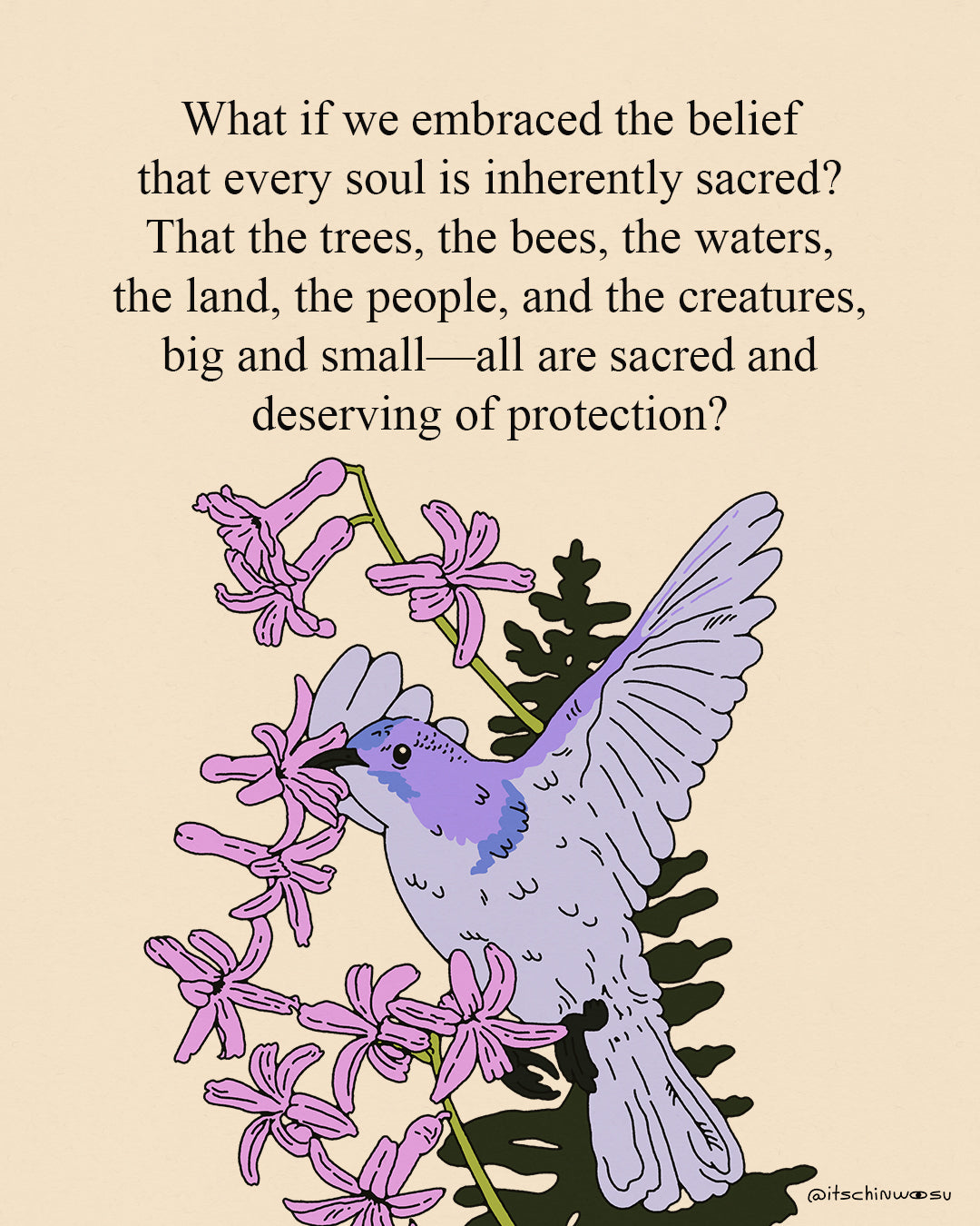 Every Soul is Sacred T-shirt