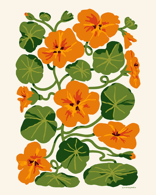 Nasturtiums I Print