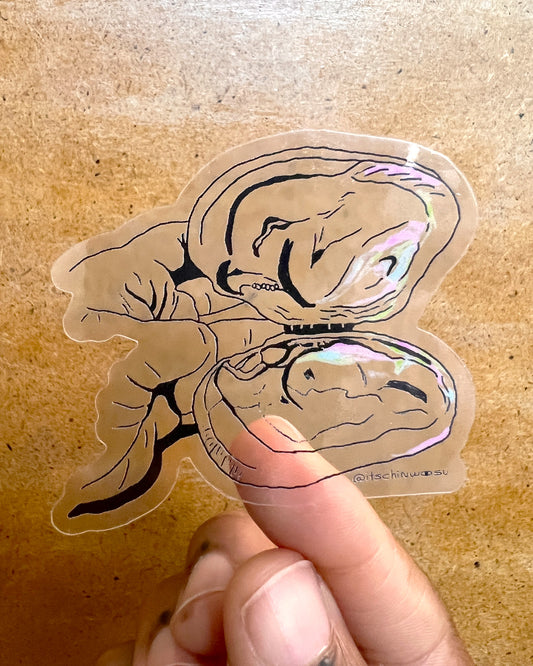 Oyster Clear Sticker
