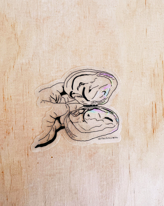 Oyster Clear Sticker