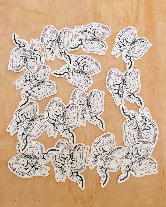 Oyster Clear Sticker