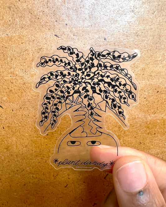 Rattlesnake Plant Dandy Clear Sticker