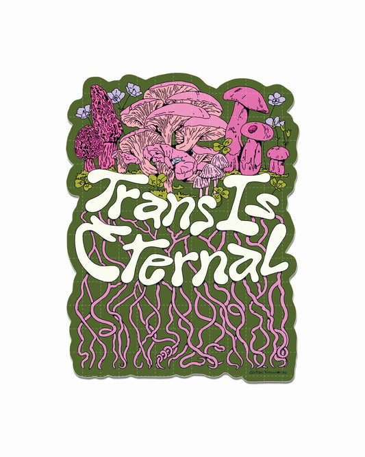 Trans is Eternal Sticker